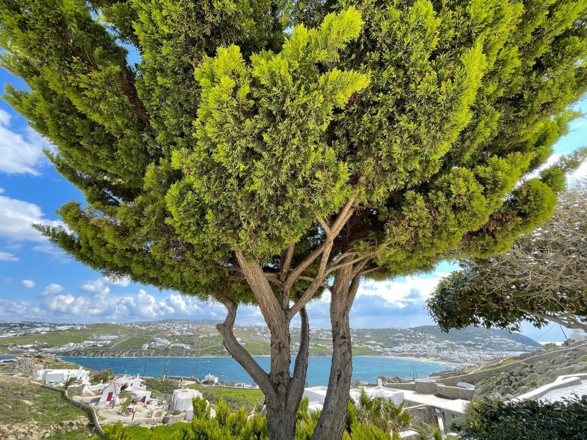 Yalos Mykonos Ornos Pouli Private Apartments W Shared Swimming Pool Mykonos Town Luaran gambar